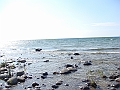 Western Michigan [2010] 810